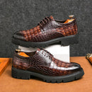 Sapato Oxford Masculino Crocomens