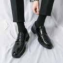 Sapato Oxford Masculino Crocomens