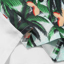 Conjunto Tropical Summer 
